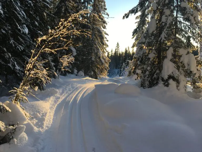 Unike overnattinger - skispor - Faråsen Tretoppgård