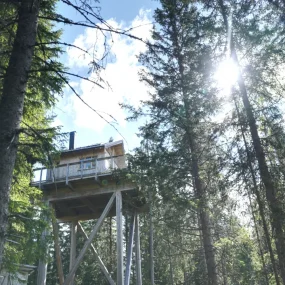 Faråsen Tretopphytter - Skogro tretopphytte - utsiden